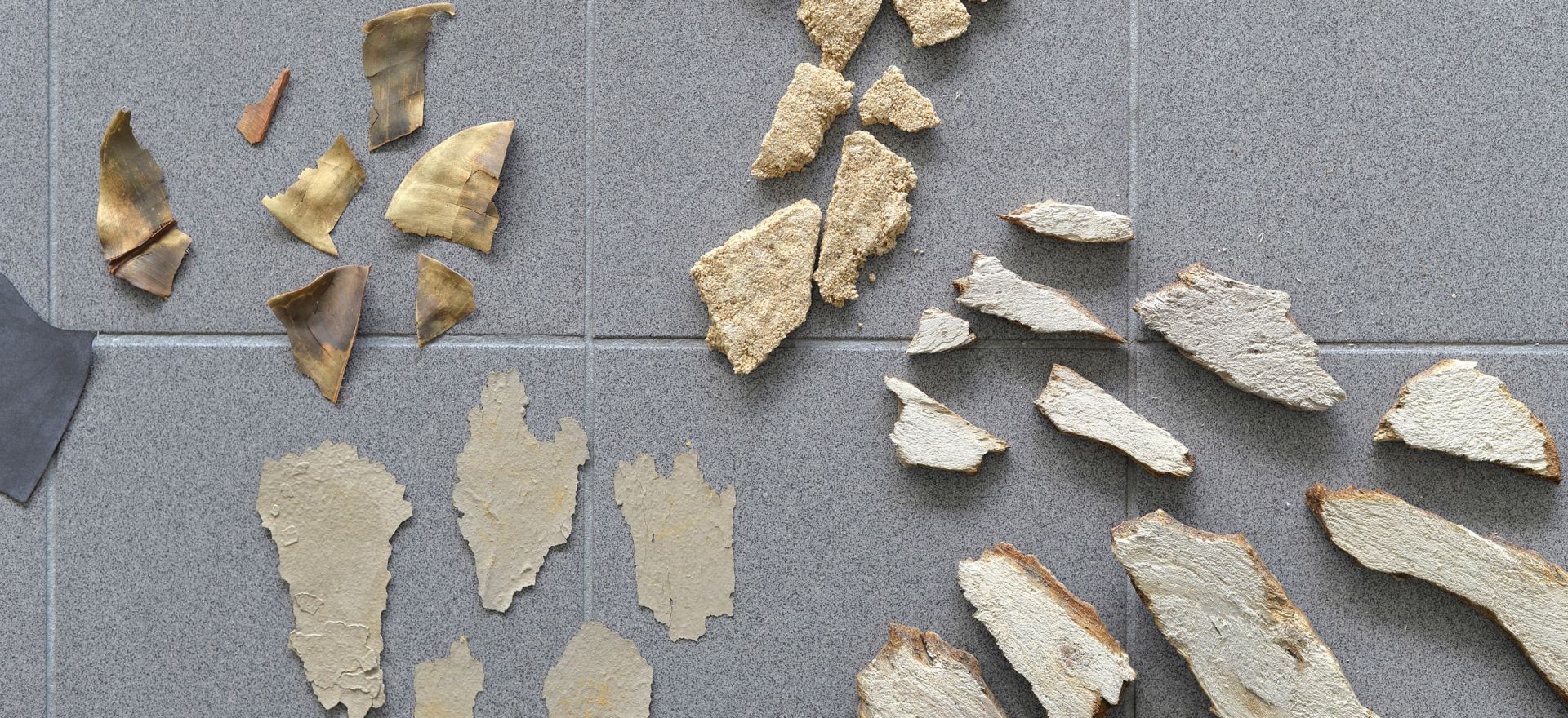 Retour de Paris : Maria Tackmann