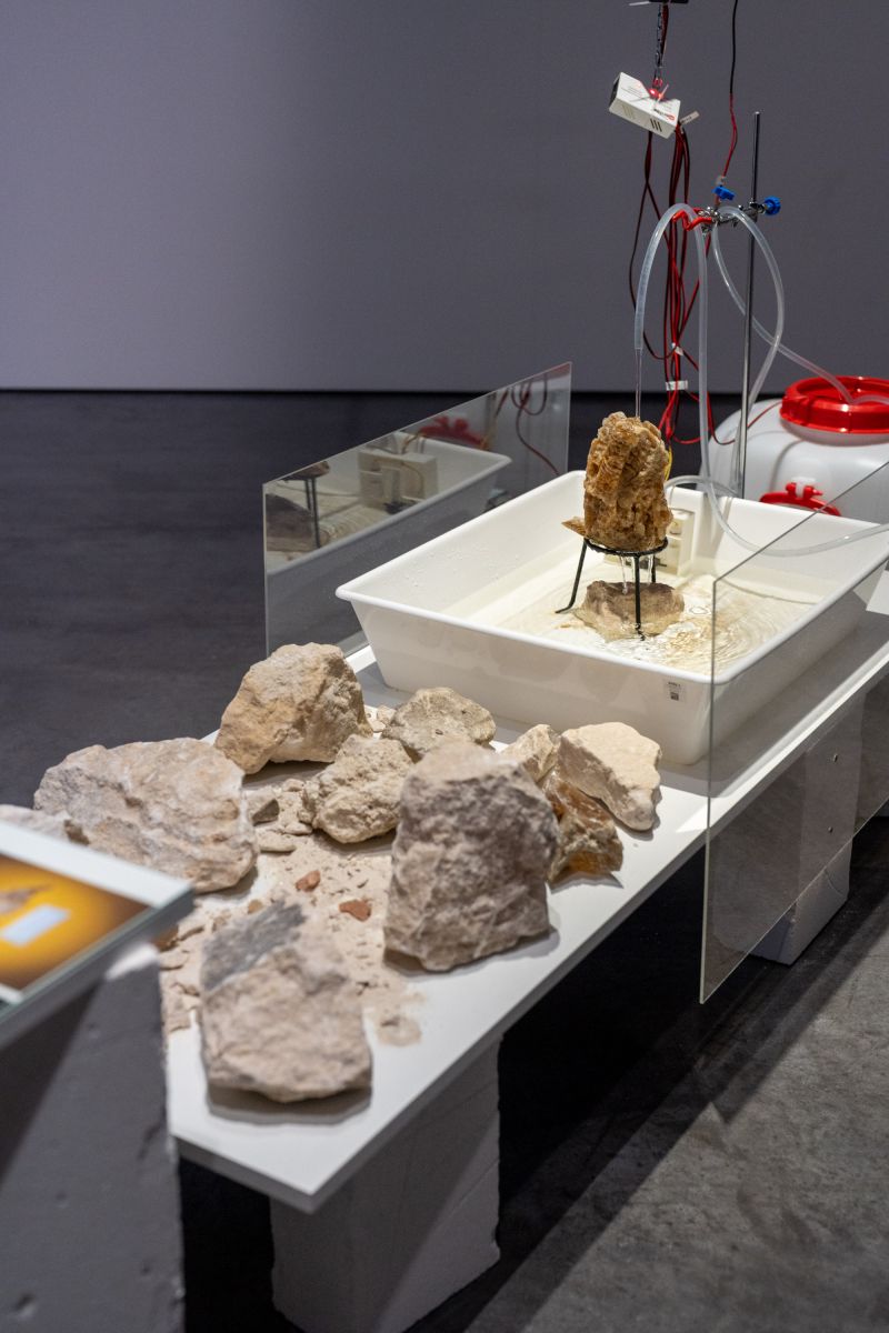 Retour de Paris: Karolina Sobel