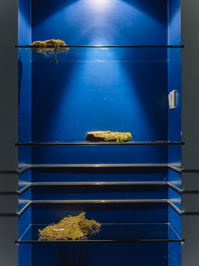 Retour de Paris: Juli Gebhardt "Out of bounds" 