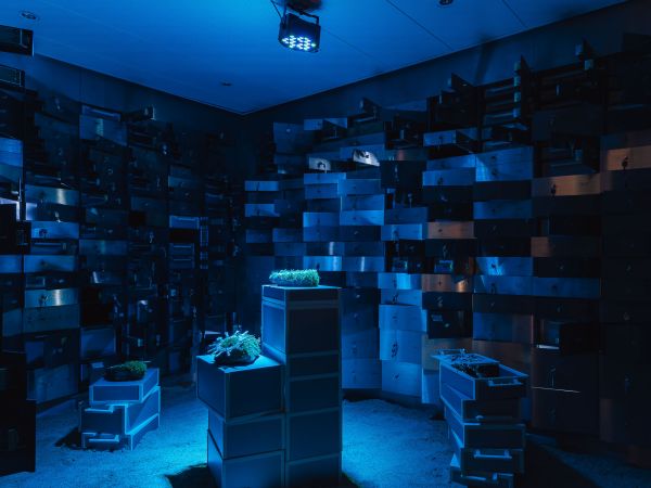 Retour de Paris: Juli Gebhardt "Out of bounds" 