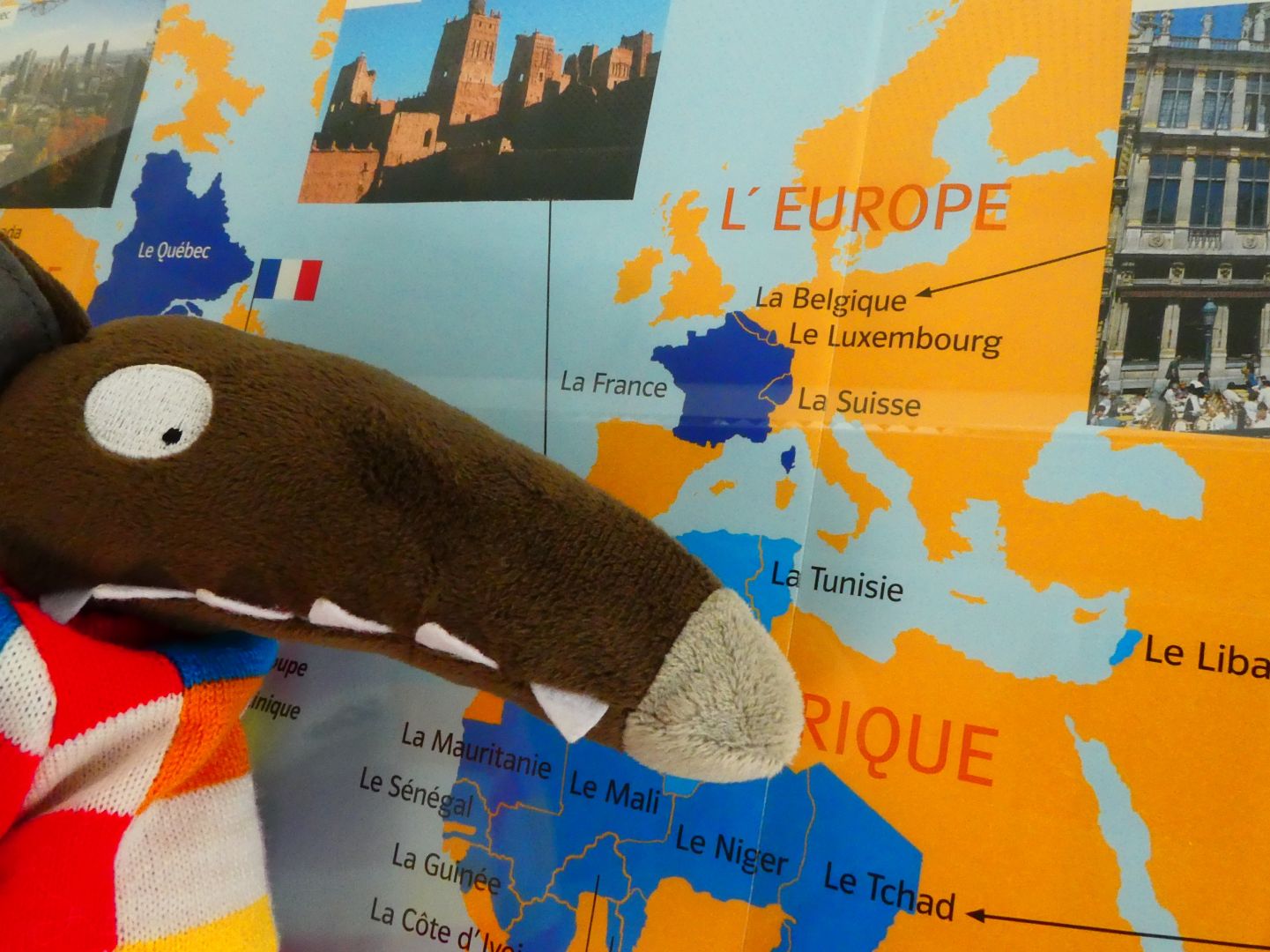  Le loup qui voulait faire le tour de l'Europe