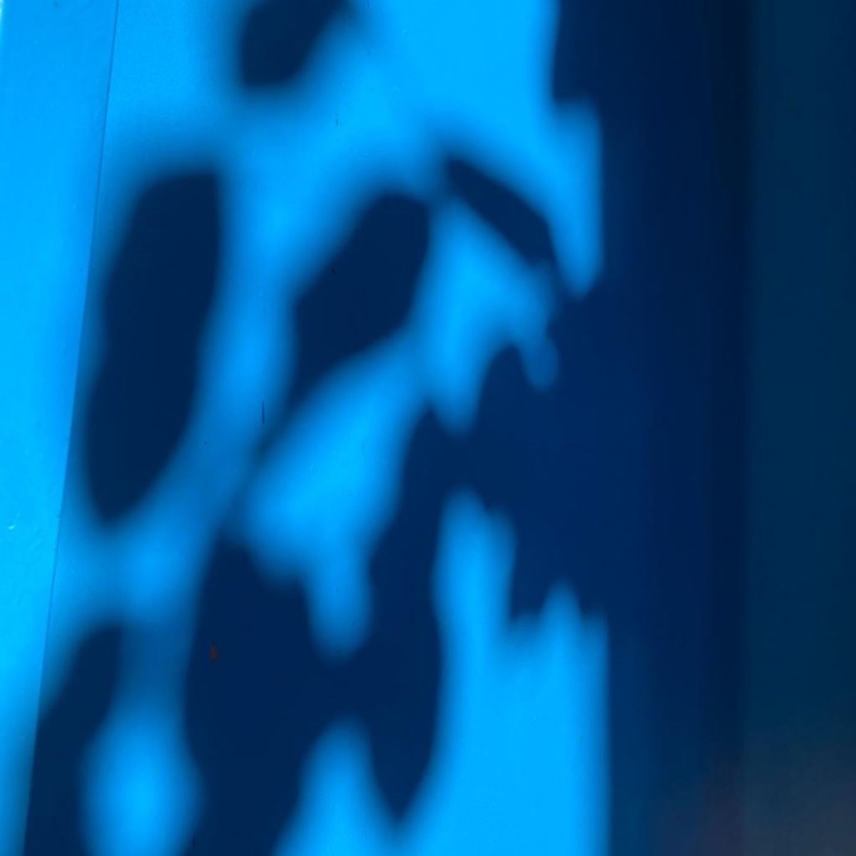  HuM-Collective: Taking Part CCFA