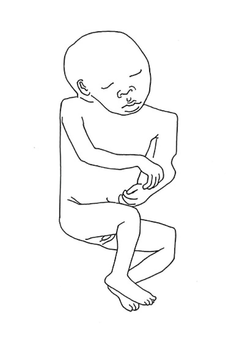 Heidi Wood: Collections francophones