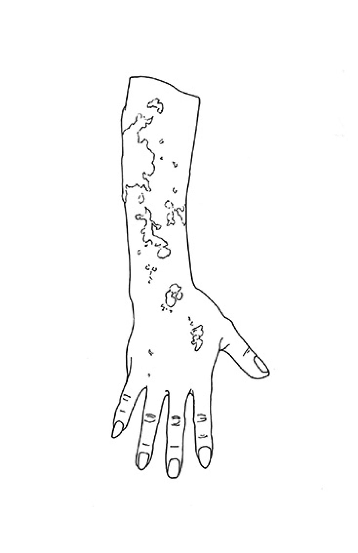 Heidi Wood: Collections francophones