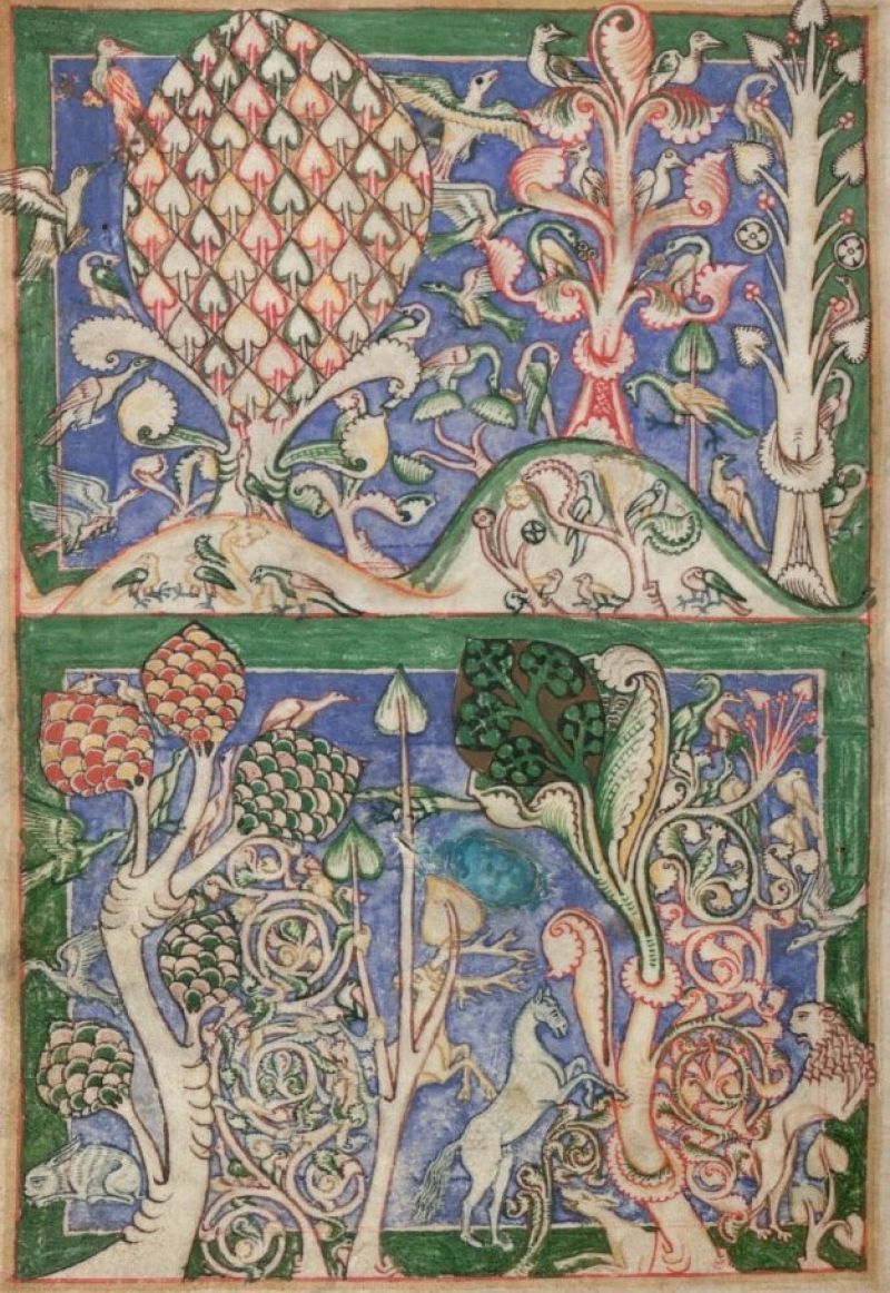 Prenez garde aux faux amis